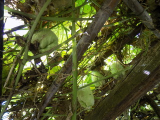 best images for graphic designers (jpg converter.no edit)