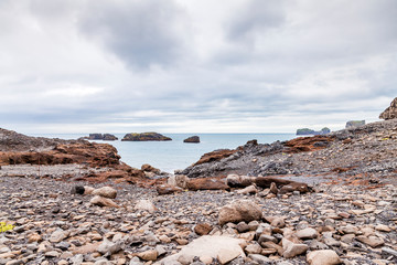 Fototapeta na wymiar landscape of a stony beach in the south of Iceland