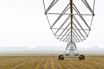 View from below of a center pivot irrigation system in a young corn field in the french countryside by a misty spring morning.