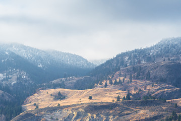 Golden grassy hills contrast with forest snow covered mountains and fog in winter