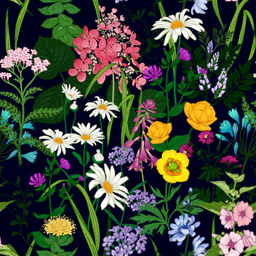 Seamless background with wild flowers. Floral pattern on black background.