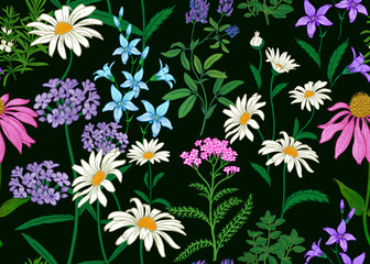 Seamless background with wild flowers. Full color pattern.