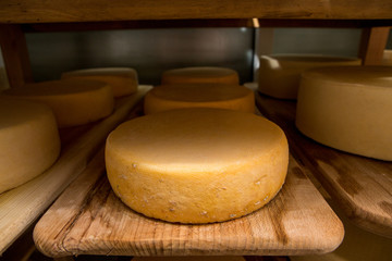 Fototapeta na wymiar cheese heads in the vault on the shelves