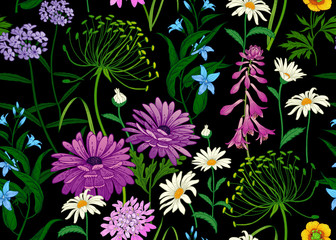 Seamless summer pattern with wild flowers on black background