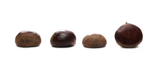 Edible chestnuts isolated on white background