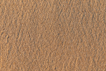 texture of yellow, soft, smooth, fine sand with amber chips on the beach