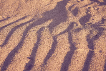 yellow sand dunes texture with deep blue shadows