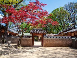 Changdeokgung, royal palace in Seoul, Secret garden, Spring time.  popular destination for travel in Asia