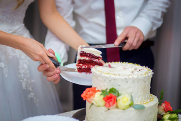 Obraz na płótnie Canvas The groom and the bride instead of cut wedding cake, a close up