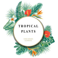 Fototapeta na wymiar Tropical plants. Trendy hand drawn tropical leaves and flowers. Summer. Vector design EPS8