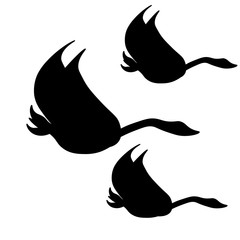 Black fluing swans logo.