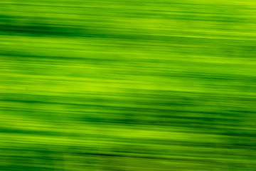 Nature in motion from the train window