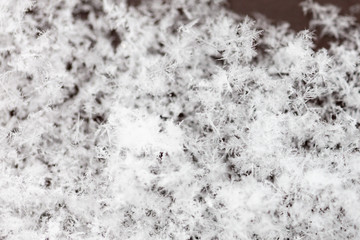 White snowflakes on nature as a background