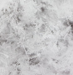 White snowflakes on nature as a background