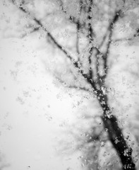 Snowflakes melt on the window as a background