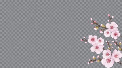 Magenta on transparent background. Festive frame horizontal of sakura flowers. Handmade background in oriental style. Design element for fabric, invitations, packaging, cards.