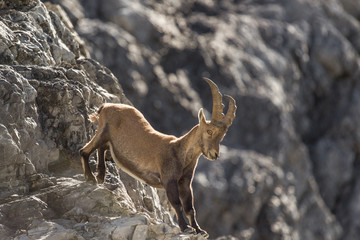 Parco Nazionale dello Stelvio