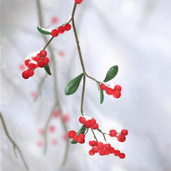 Fototapeta na wymiar red berries in the snow