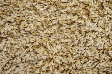 Close up of beige domestic carpet texture