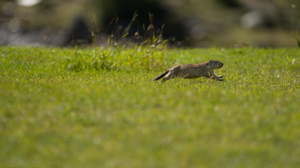 Parco Nazionale dello Stelvio