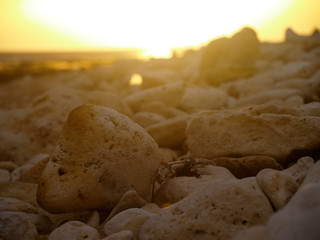 rocky beach at the atlantic coast, closeup on stones at sunset
