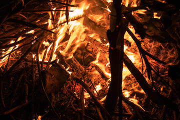 Burning wood and fire flame