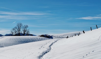 Obraz premium Schneelandschaft