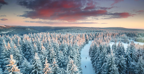 magisch leuchtender Winterwald