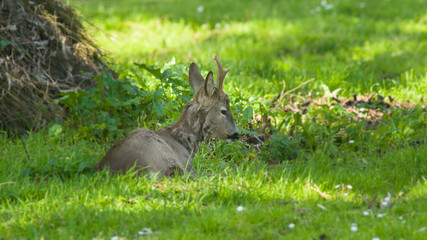 Parco del Circeo