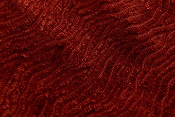 Full frame of textile