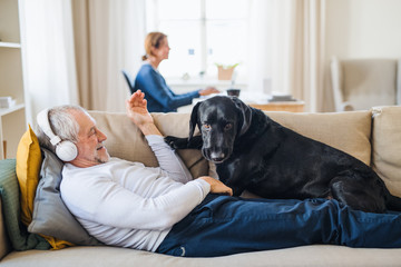 A happy senior couple indoors with a pet dog at home, using laptop and headphones.