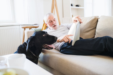 A happy senior man lying on a sofa indoors with a pet dog at home, reading.