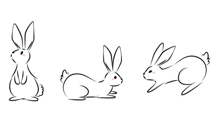 rabbit line pose