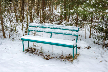 Empty bench in a snow-covered forest in winter