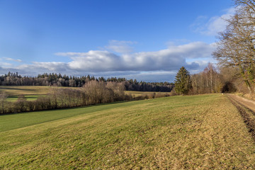 Obraz premium Winter. Meadow. Forest. Road. Hill. Sky. Field