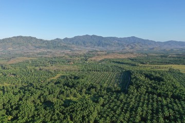 Fototapeta na wymiar Aerial photo countryside and plantations in Thailand 