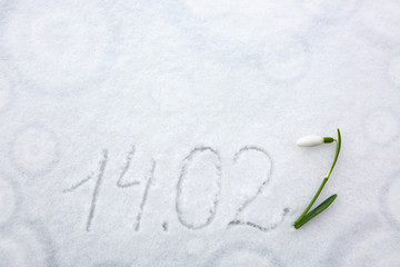 Valentines Day 14.02 written at the white snow background and snowdrop flower.