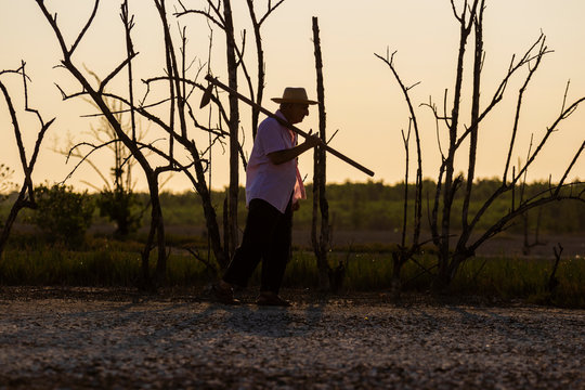 silhouette of man with hoe, background with dry trees
