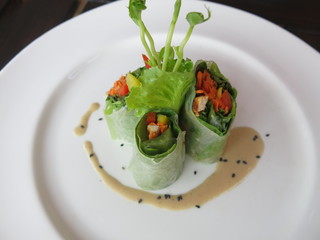 fresh vegetable spring rolls