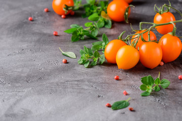 Tomatoes, oregano and pepper on a gray concrete surface. With copy space.
