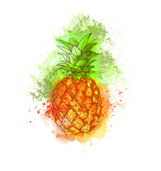 Hand colorful bright delicious pineapple fruit. Watercolors, white background..