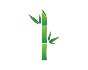 Fototapeta na wymiar Bamboo with green leaf vector icon