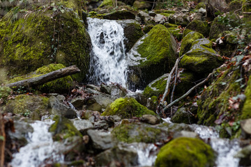 Krasnaya Polyana, Sochi, Russia. Waterfall in spring and green moss on the rocks