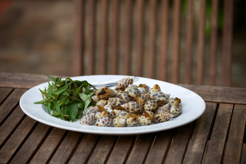 Delicious snail cuisine