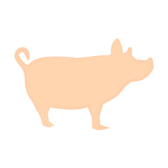 Magnificent pig pink design on a white background