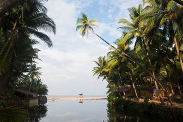 Beach, Cola Beach, Lagoon, Goa, India, Lifeguard, Sea, Arabian Sea, Water, Travel, Palms, Palm Trees, Trees, Landscape, Sand, Ocean, Shore, Coast, Coastal, Tropical, Morning, Nature, Natural, Getaway,