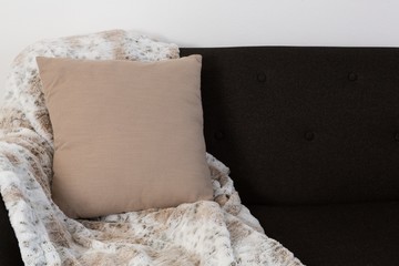 Cushion and blanket arranged on sofa