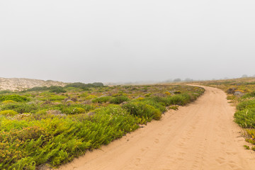 Malhão beach with a lot of fog on the ocean