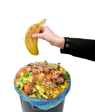 recycling organic on white background