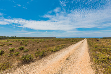Isolated dirt road in Portugal